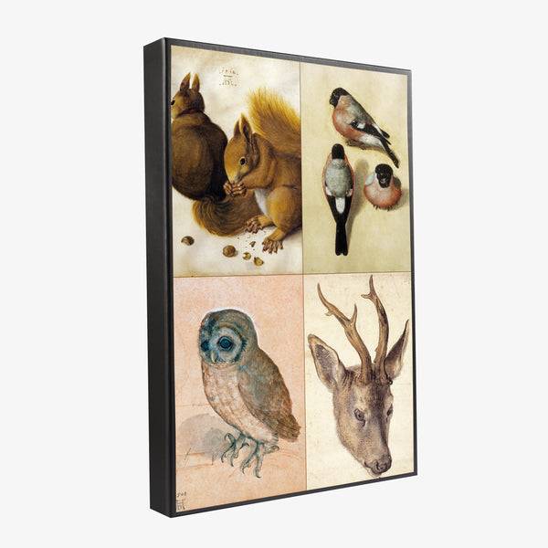 Musearta Albrecht Dürer - Tiermotive - Geschenkset Fabrikverkauf
