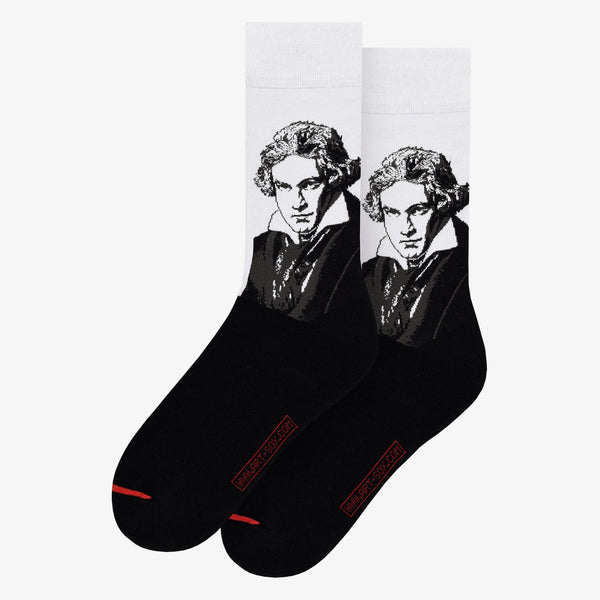 Musearta Joseph Karl Stieler - Ludwig van Beethoven