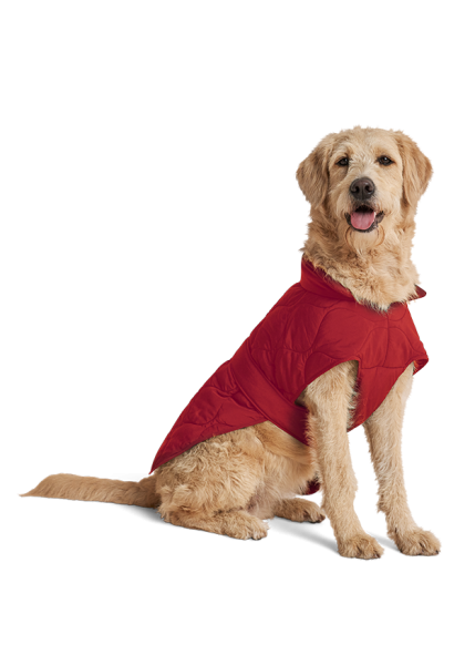 Riani HUNDEMANTEL im Angebot