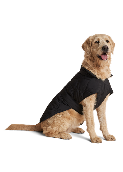 Riani HUNDEMANTEL
