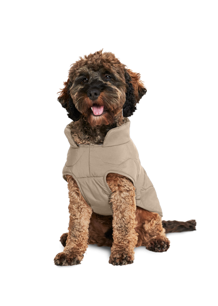 Riani HUNDEMANTEL